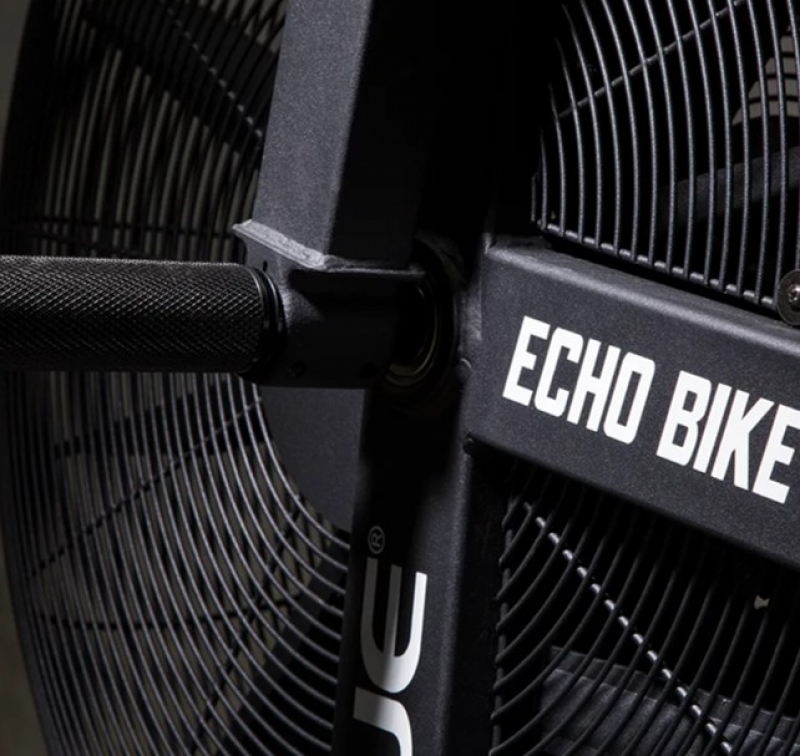 Rogue echo deals air bike