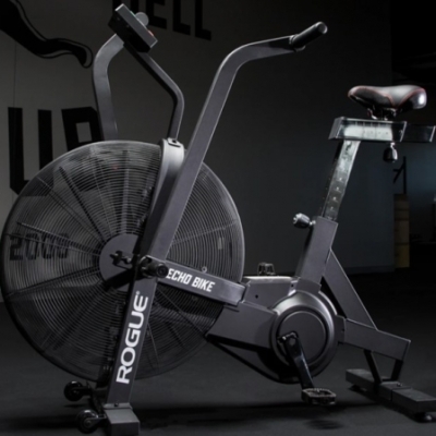 Rogue echo bike for sale new arrivals