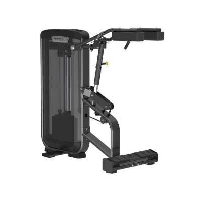 Spirit Fitness Standing Calf